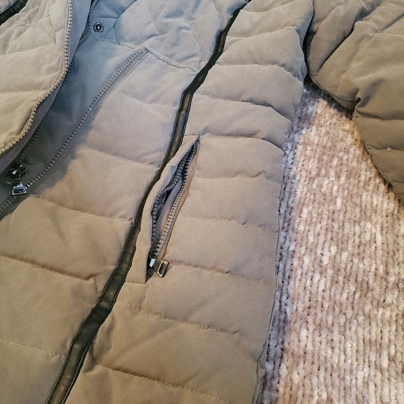 Express Hooded (MINUS THE) Leather Trim Puffer Coat - Picture 10 of 11